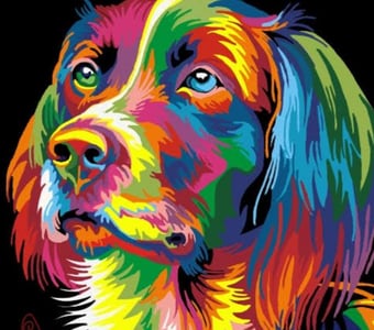 Rainbow dog (2)
