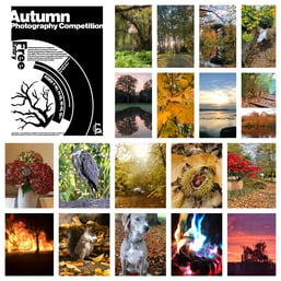 picture of photography cpmpetition poster and some of the entries