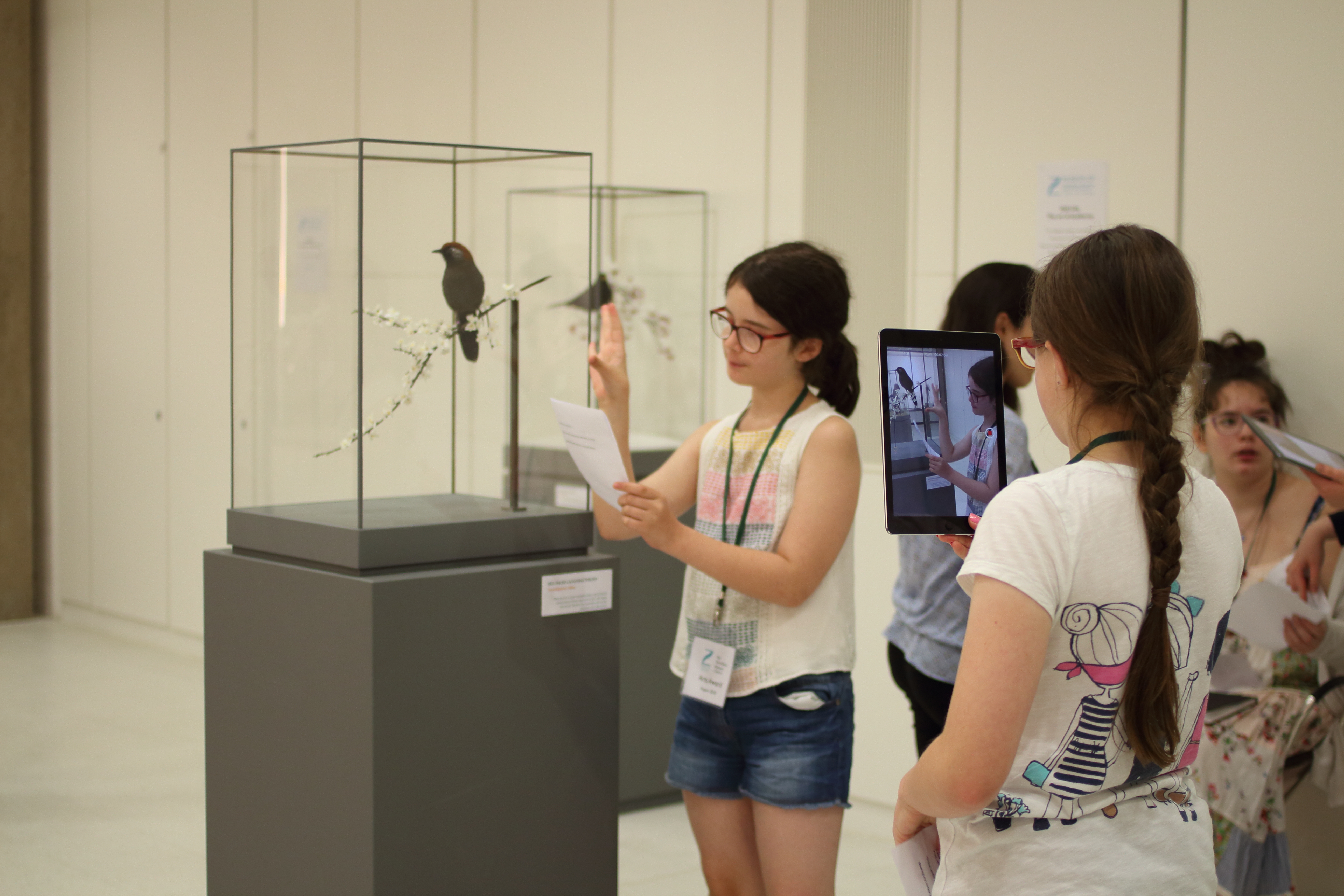 Focus on Bronze Part B